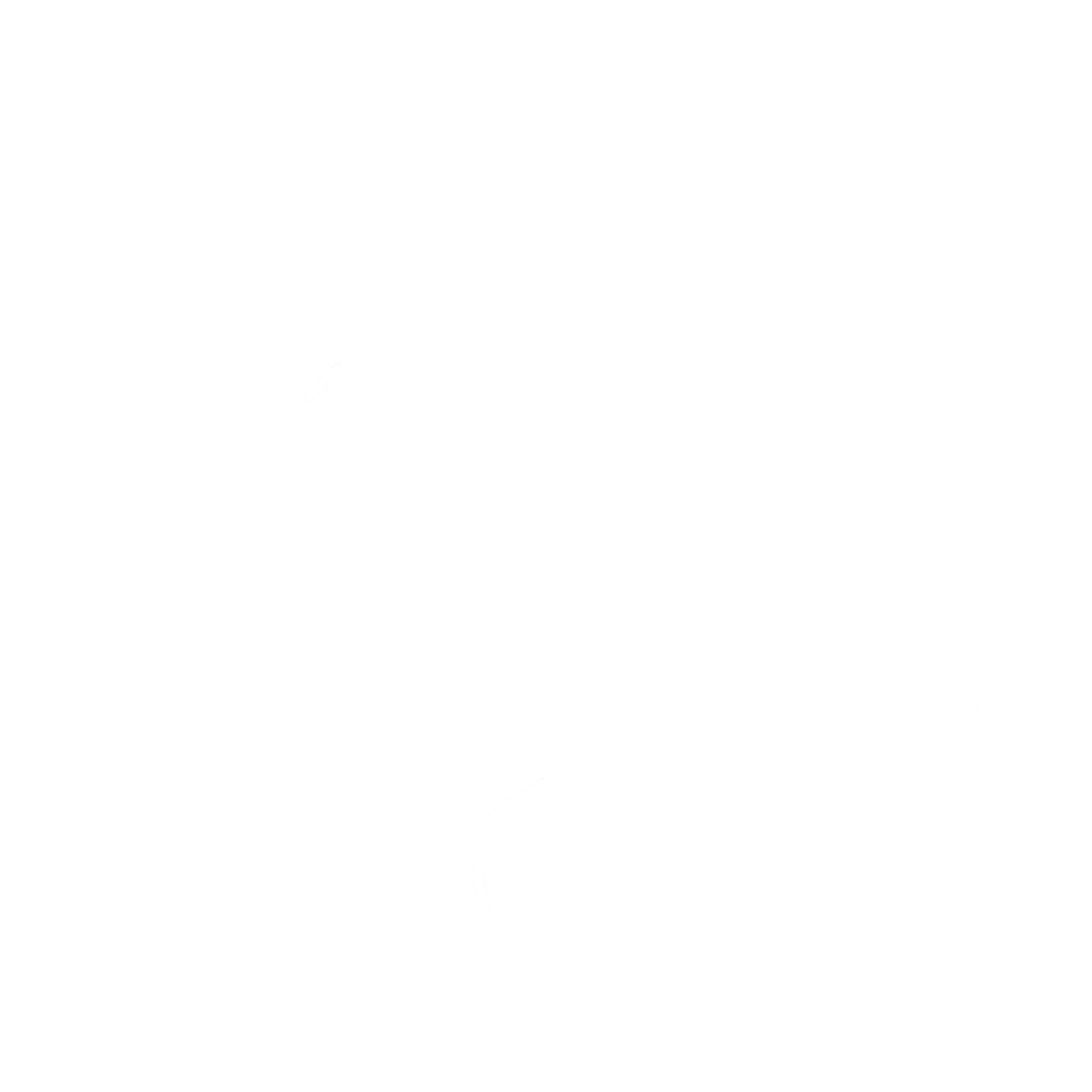 Fox and Dragon Logo